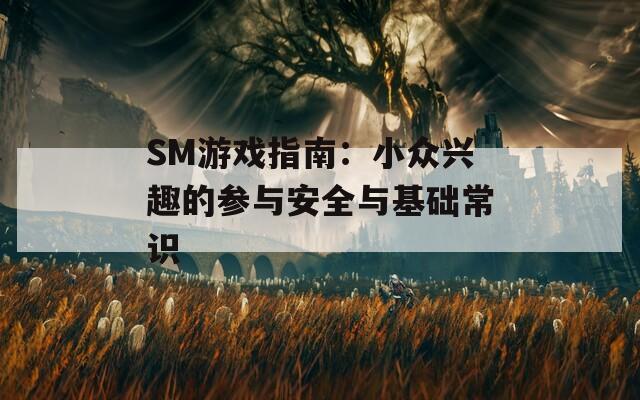 SM游戏指南：小众兴趣的参与安全与基础常识