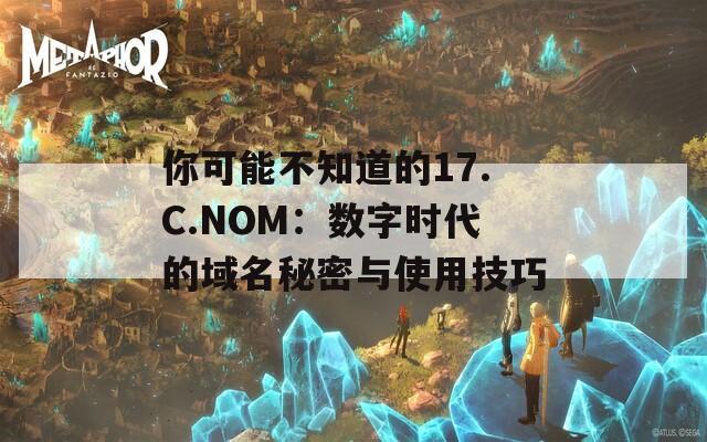 你可能不知道的17.C.NOM：数字时代的域名秘密与使用技巧