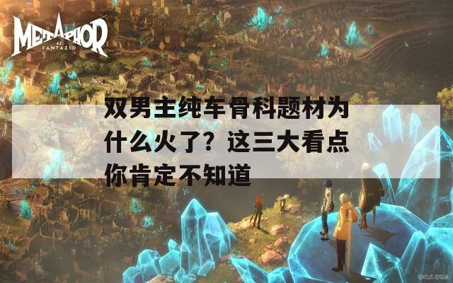 双男主纯车骨科题材为什么火了？这三大看点你肯定不知道  第1张