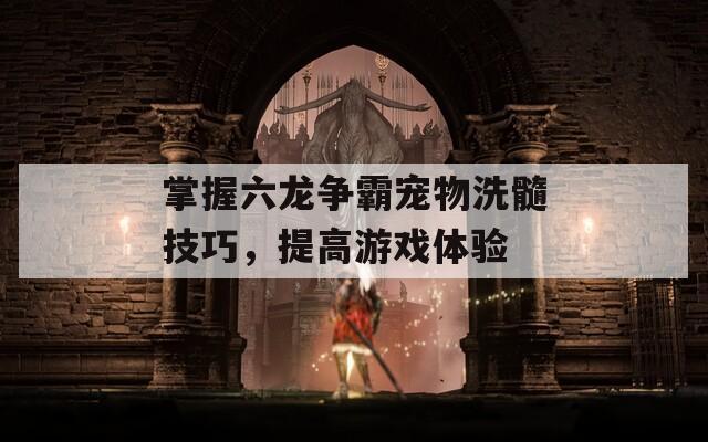 掌握六龙争霸宠物洗髓技巧，提高游戏体验