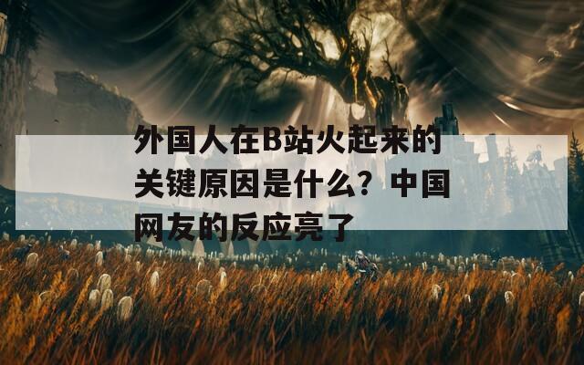 外国人在B站火起来的关键原因是什么？中国网友的反应亮了  第1张