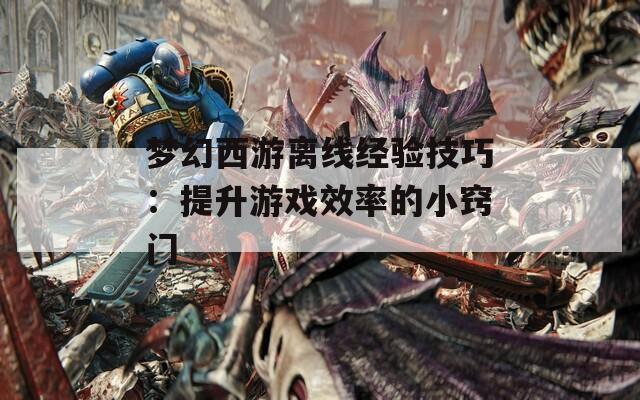 梦幻西游离线经验技巧：提升游戏效率的小窍门  第1张