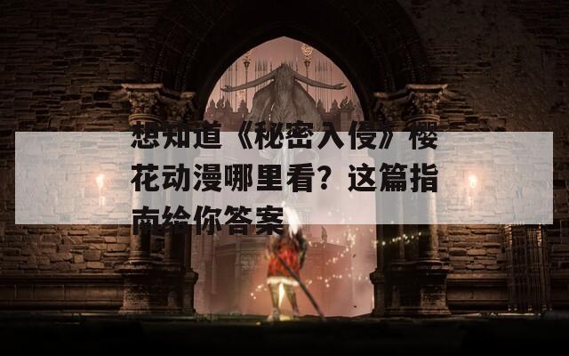想知道《秘密入侵》樱花动漫哪里看？这篇指南给你答案