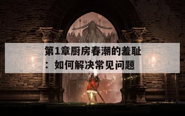 第1章厨房春潮的羞耻：如何解决常见问题  第1张