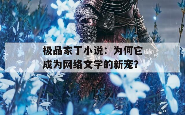 极品家丁小说：为何它成为网络文学的新宠？