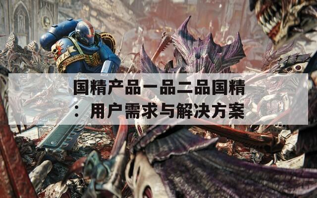 国精产品一品二品国精：用户需求与解决方案