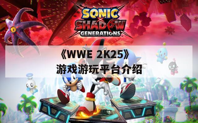 《WWE 2K25》游戏游玩平台介绍