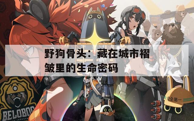 野狗骨头：藏在城市褶皱里的生命密码