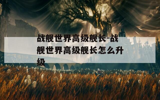 战舰世界高级舰长-战舰世界高级舰长怎么升级