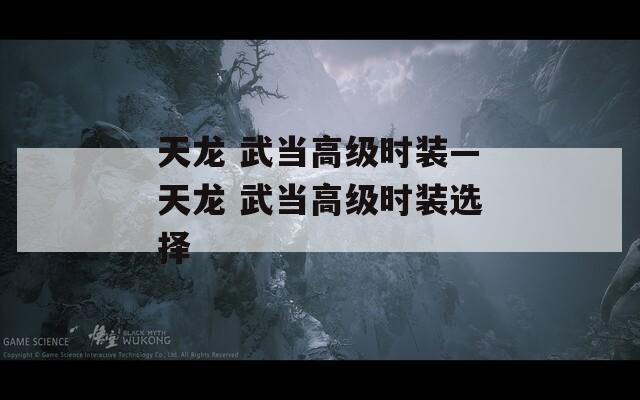 天龙 武当高级时装—天龙 武当高级时装选择  第1张