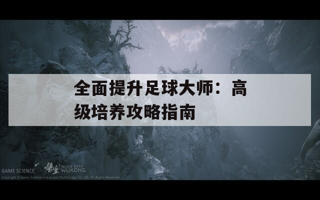 全面提升足球大师：高级培养攻略指南