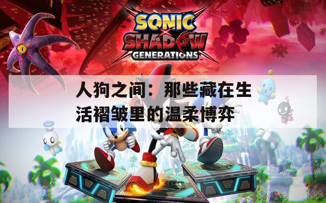 人狗之间：那些藏在生活褶皱里的温柔博弈