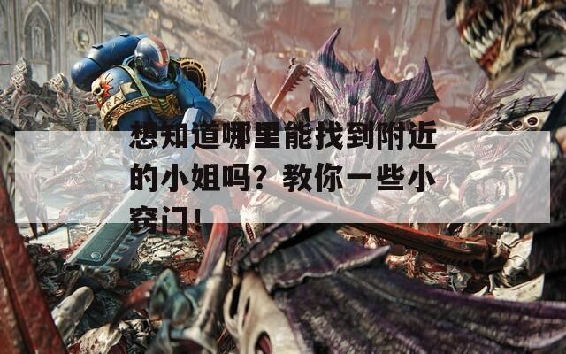 想知道哪里能找到附近的小姐吗？教你一些小窍门！