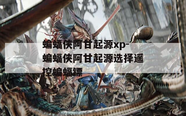 蝙蝠侠阿甘起源xp-蝙蝠侠阿甘起源选择遥控蝙蝠镖