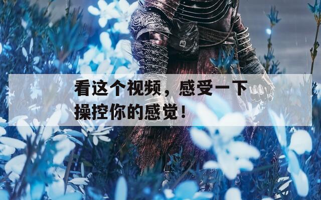看这个视频，感受一下操控你的感觉！