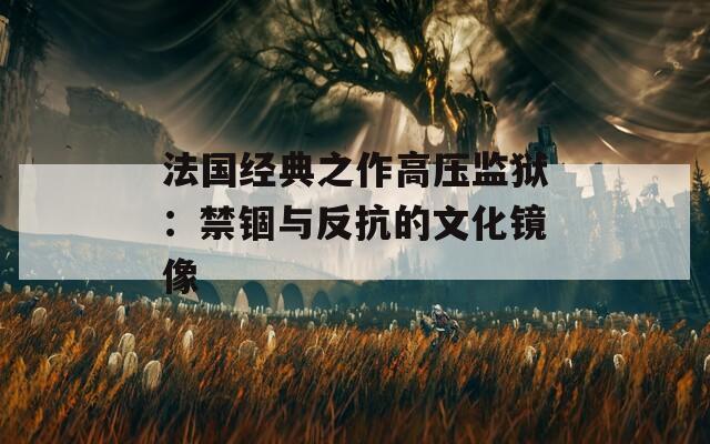 法国经典之作高压监狱：禁锢与反抗的文化镜像
