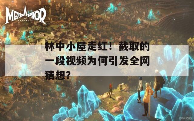 林中小屋走红！截取的一段视频为何引发全网猜想？