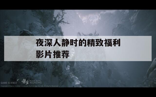夜深人静时的精致福利影片推荐