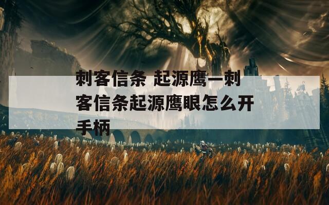 刺客信条 起源鹰—刺客信条起源鹰眼怎么开手柄