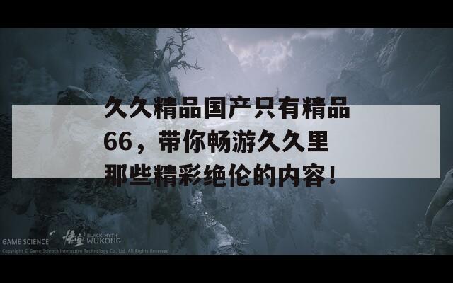 久久精品国产只有精品66，带你畅游久久里那些精彩绝伦的内容！