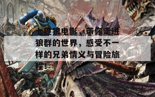 七匹狼电影，带你走进狼群的世界，感受不一样的兄弟情义与冒险旅程！