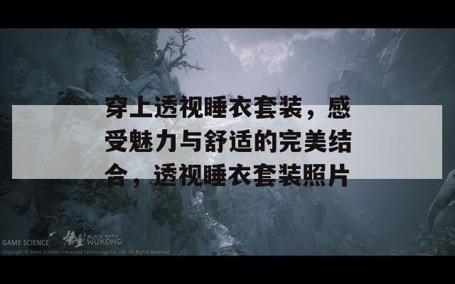 穿上透视睡衣套装，感受魅力与舒适的完美结合，透视睡衣套装照片