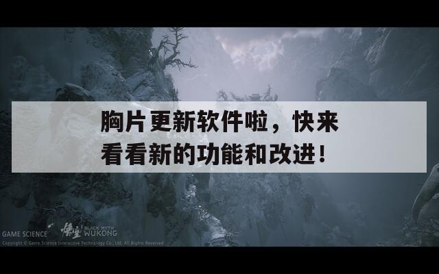 胸片更新软件啦，快来看看新的功能和改进！