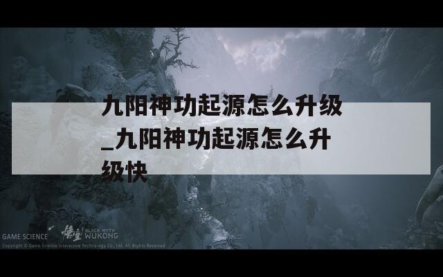 九阳神功起源怎么升级_九阳神功起源怎么升级快