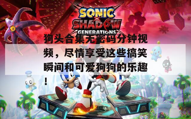 狗头合集无密码分钟视频，尽情享受这些搞笑瞬间和可爱狗狗的乐趣！