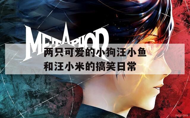 两只可爱的小狗汪小鱼和汪小米的搞笑日常