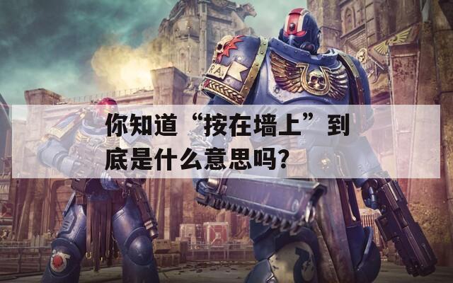 你知道“按在墙上”到底是什么意思吗？