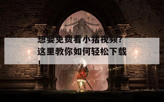 想要免费看小猪视频？这里教你如何轻松下载！