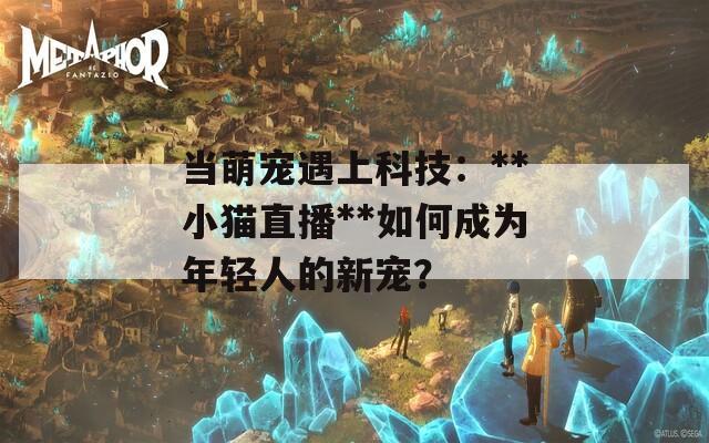当萌宠遇上科技：**小猫直播**如何成为年轻人的新宠？  第1张