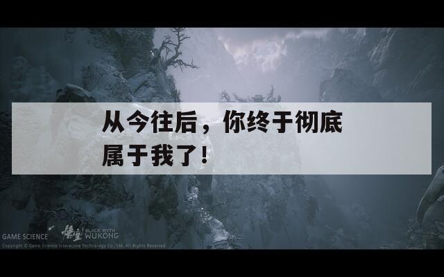 从今往后，你终于彻底属于我了！