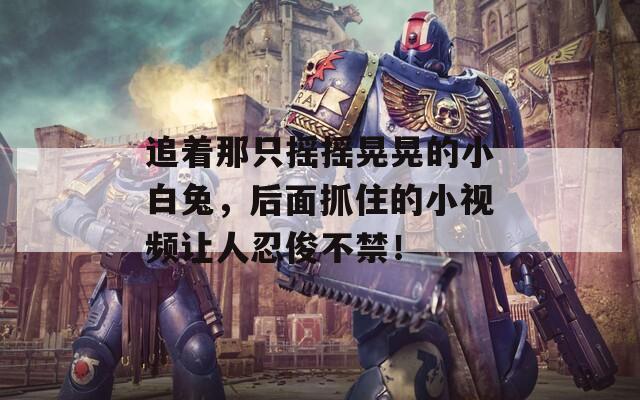 追着那只摇摇晃晃的小白兔，后面抓住的小视频让人忍俊不禁！