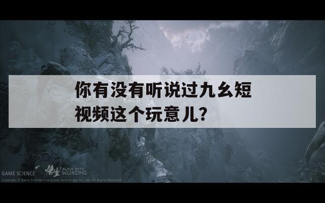 你有没有听说过九幺短视频这个玩意儿？