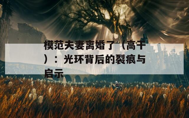模范夫妻离婚了（高干）：光环背后的裂痕与启示  第1张