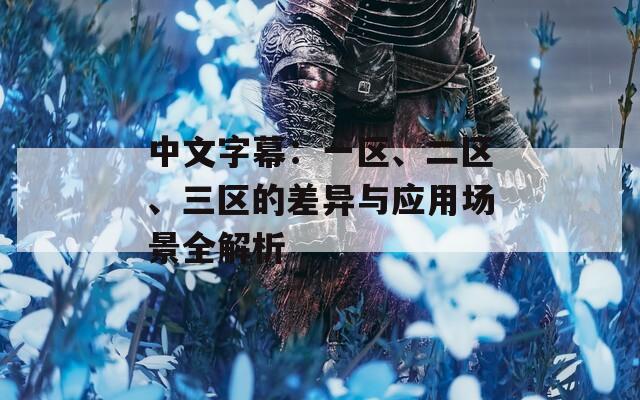 中文字幕：一区、二区、三区的差异与应用场景全解析