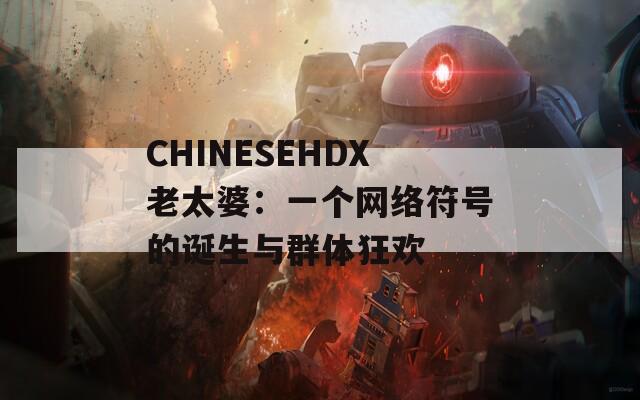 CHINESEHDX老太婆：一个网络符号的诞生与群体狂欢  第1张