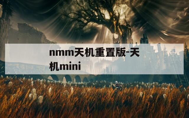 nmm天机重置版-天机mini