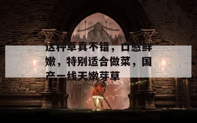 这种草真不错，口感鲜嫩，特别适合做菜，国产一线天嫩芽草