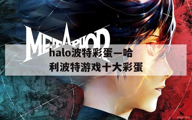 halo波特彩蛋—哈利波特游戏十大彩蛋  第1张