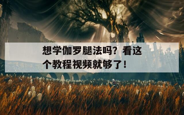 想学伽罗腿法吗？看这个教程视频就够了！