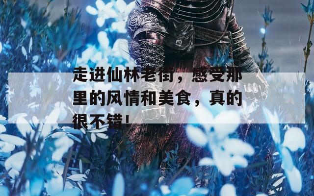 走进仙林老街，感受那里的风情和美食，真的很不错！