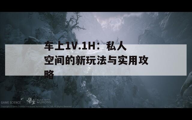 车上1V.1H：私人空间的新玩法与实用攻略