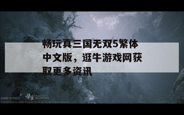 畅玩真三国无双5繁体中文版，逛牛游戏网获取更多资讯