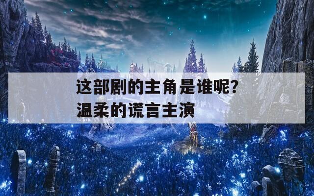这部剧的主角是谁呢？温柔的谎言主演