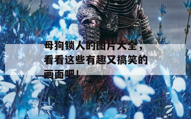 母狗锁人的图片大全，看看这些有趣又搞笑的画面吧！
