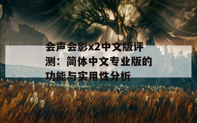 会声会影x2中文版评测：简体中文专业版的功能与实用性分析
