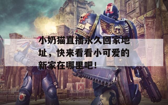 小奶猫直播永久回家地址，快来看看小可爱的新家在哪里吧！